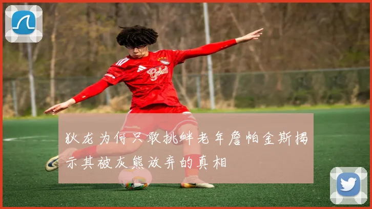 狄龙为何只敢挑衅老年詹帕金斯揭示其被灰熊放弃的真相