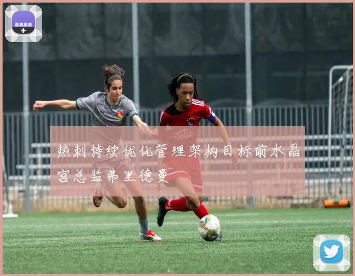 热刺持续优化管理架构目标前水晶宫总监弗里德曼