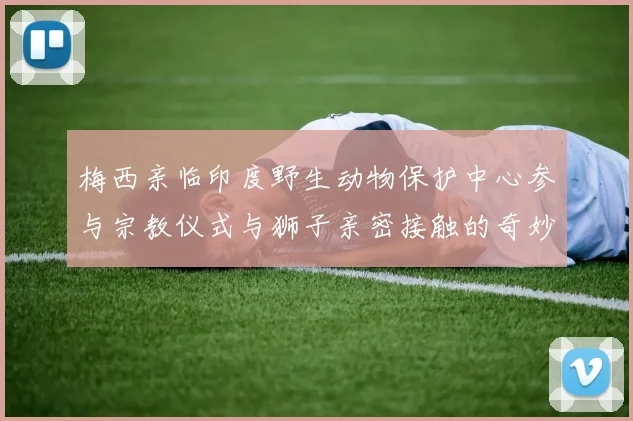 梅西亲临印度野生动物保护中心参与宗教仪式与狮子亲密接触的奇妙体验